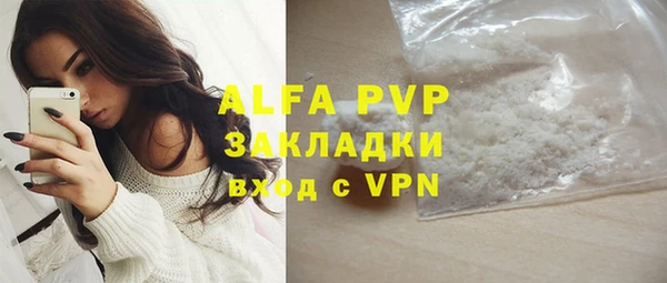 прущие грибы Волоколамск
