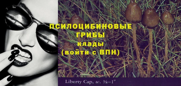 прущие грибы Волоколамск
