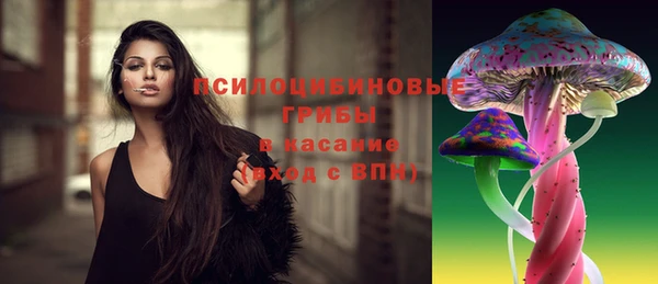 ешки Верхний Тагил