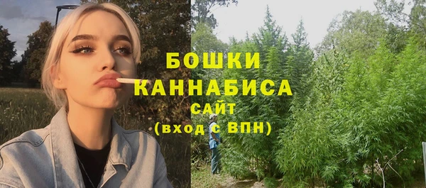 прущие грибы Волоколамск