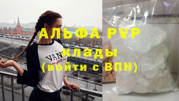 прущие грибы Волоколамск