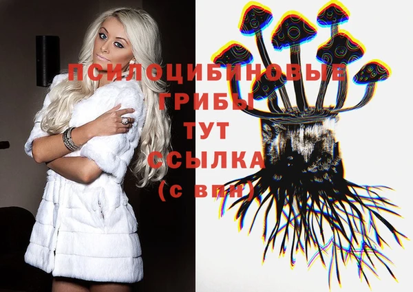 соль курить ск Волосово
